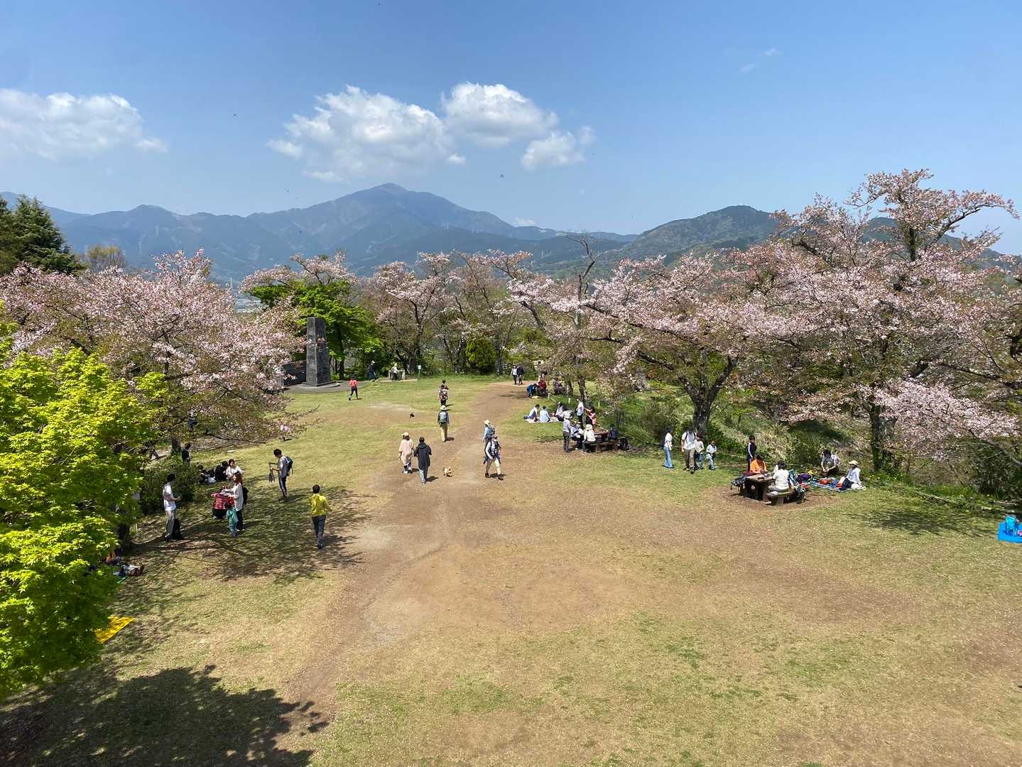 弘法山公園入口登山口-権現山 往復コースの写真