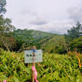 和田山北峰