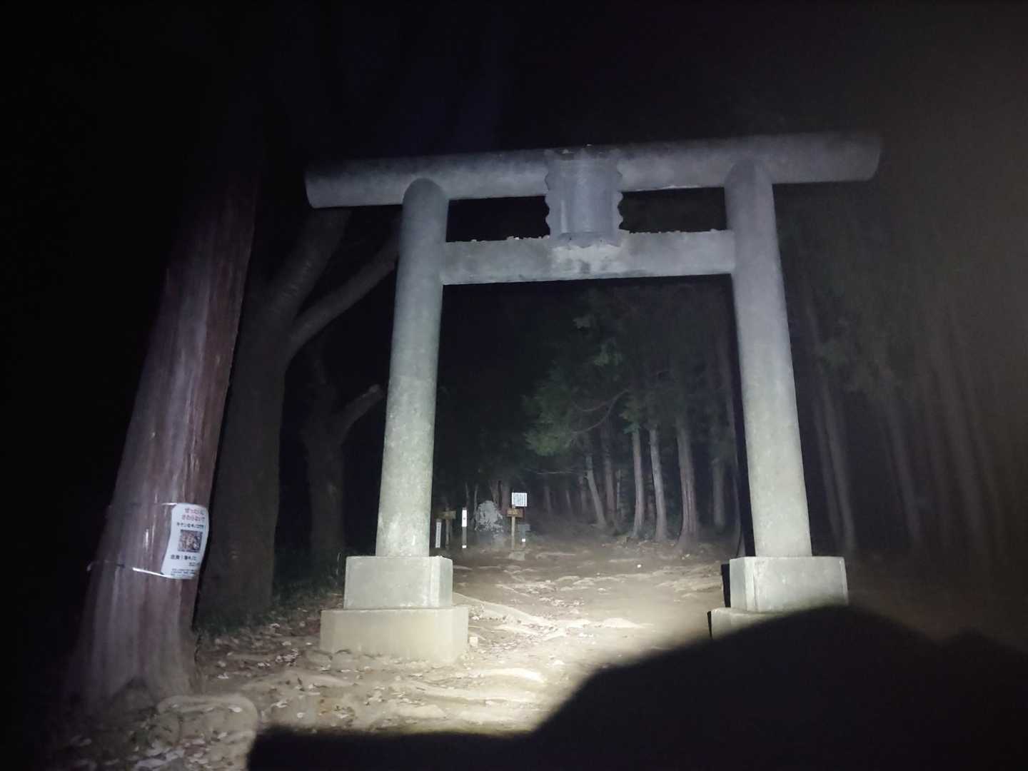 しばらく歩くと第一鳥居が見えてきます。
やはり夜だと雰囲気ありますね…