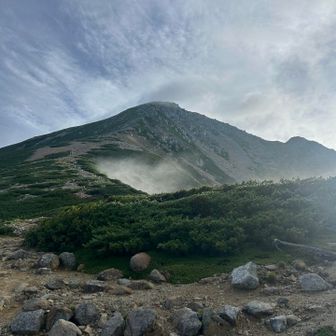 写真だと近く見える☺️