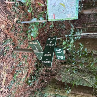 硫黄谷の方へ進む
麻畠から下山時、急勾配多い。
濡れた石、苔多い
滑るので石の上は歩かないよう注意