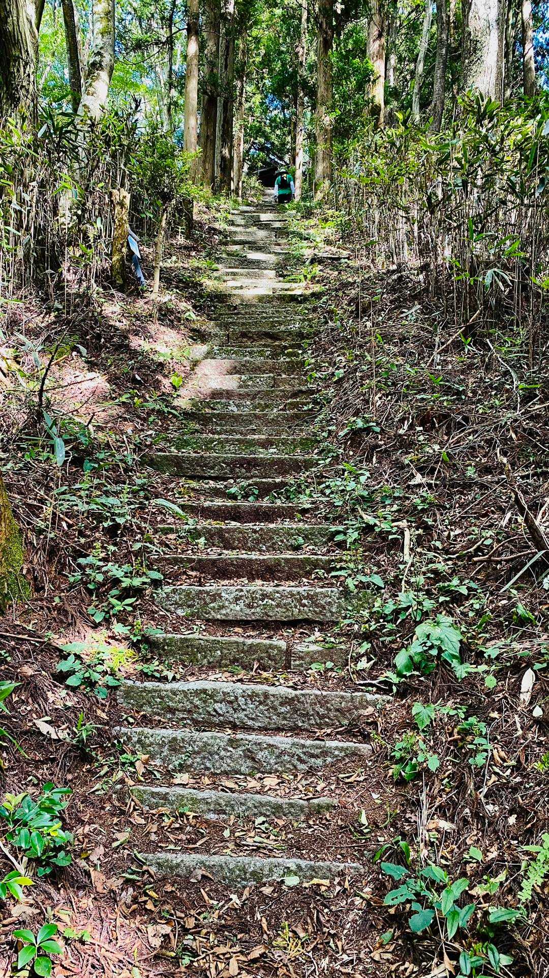 竪破山登山道入口-黒前神社二の鳥居-竪破山登山口-黒前神社 周回コースの写真