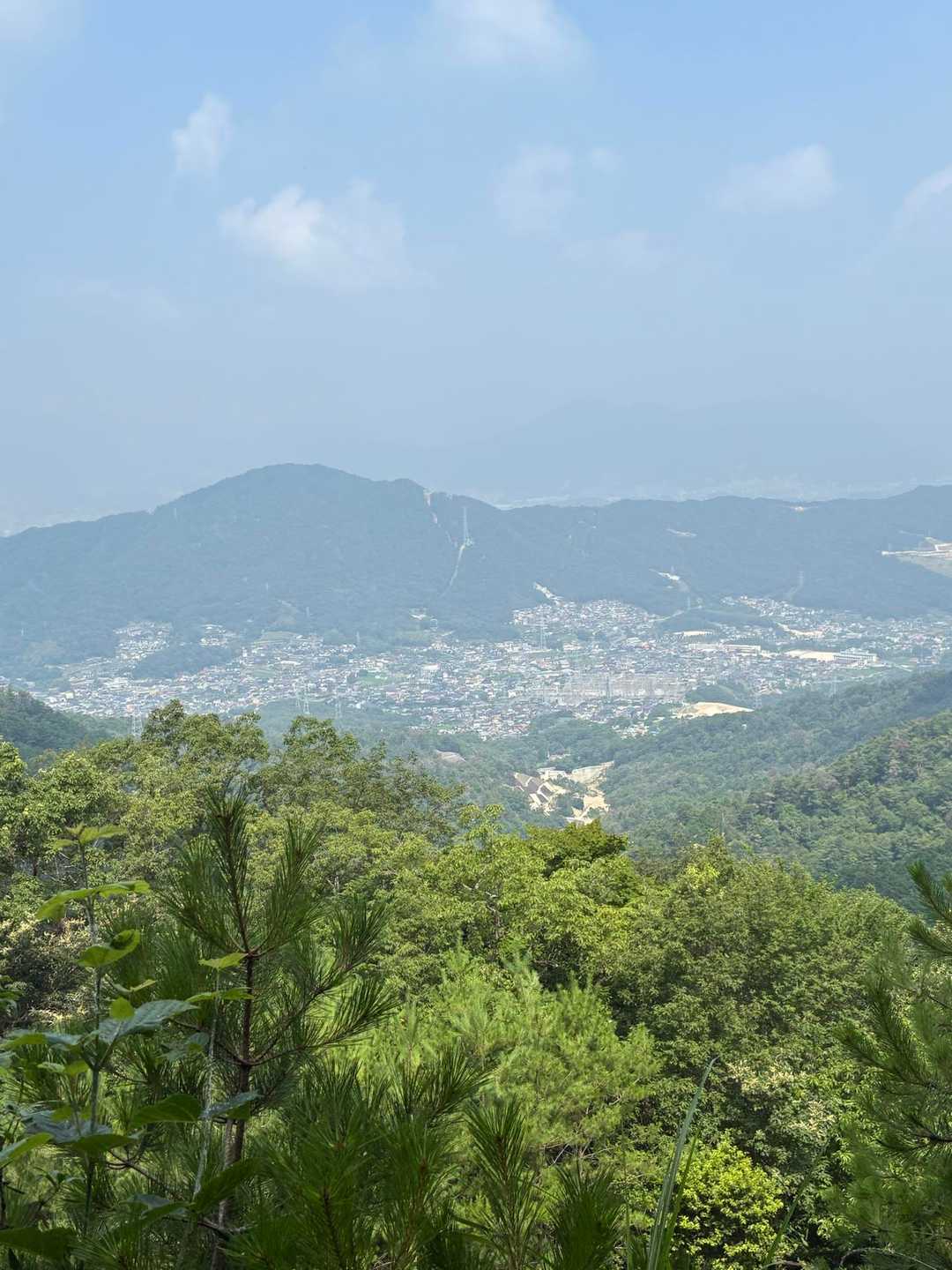 三本木山登山口-藤ヶ丸山-呉娑々宇山北峰-呉娑々宇山 往復コースの写真
