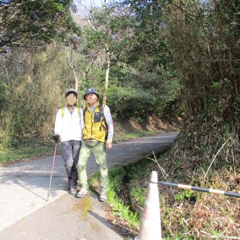 高崎山で～す
どんな扇山の野焼きが観れるかワクワクです
( ^o^)ﾉ