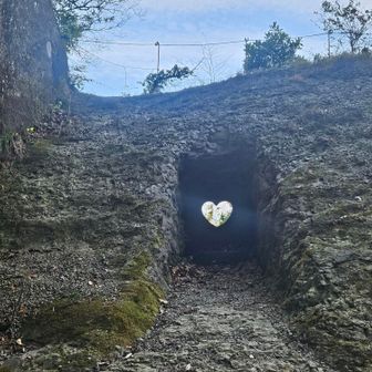 ハート型が可愛いの♥️