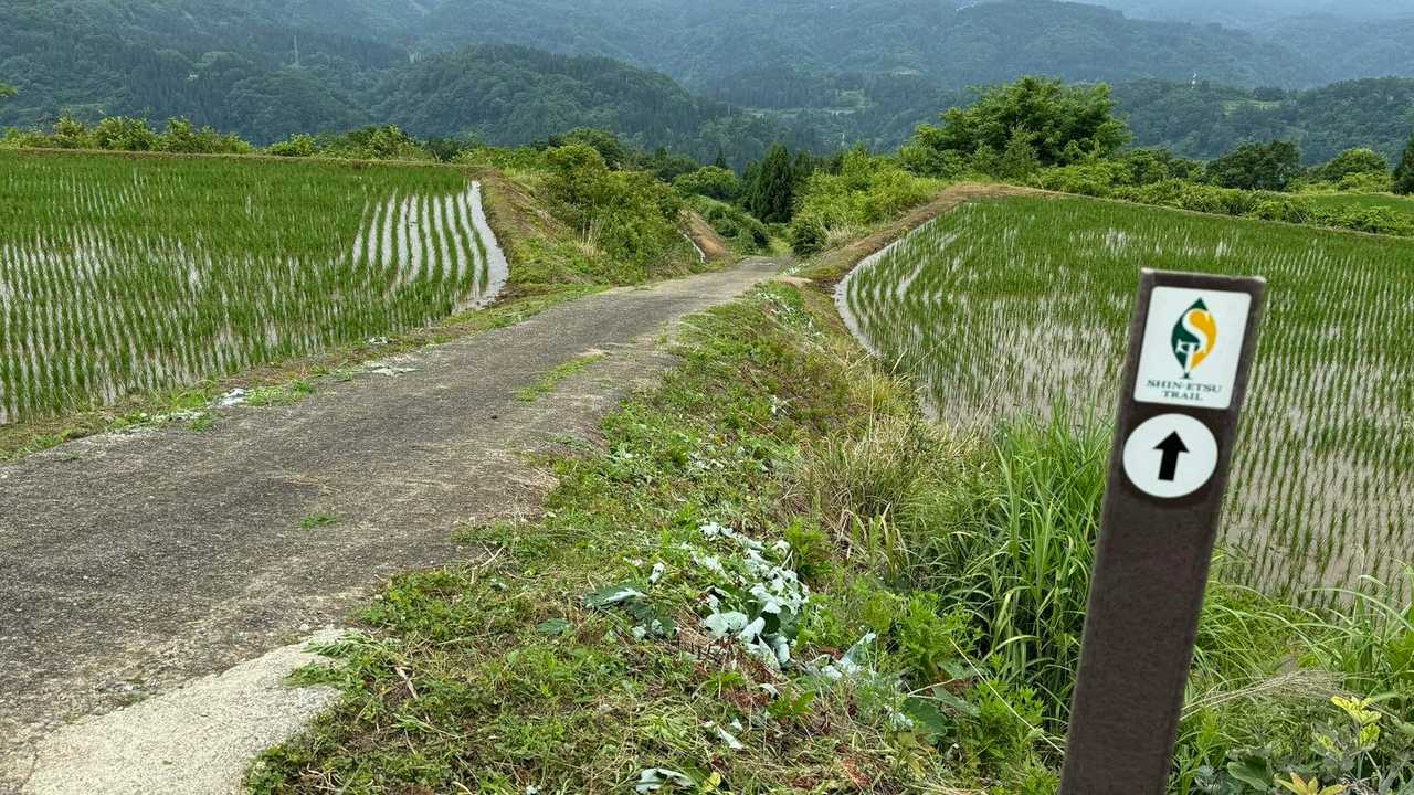 信越トレイル#4（sec.5-6-7／関田峠〜伏野峠〜野々海〜天水山〜森宮之原駅） の写真 80