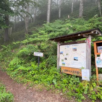 経ヶ岳登山口