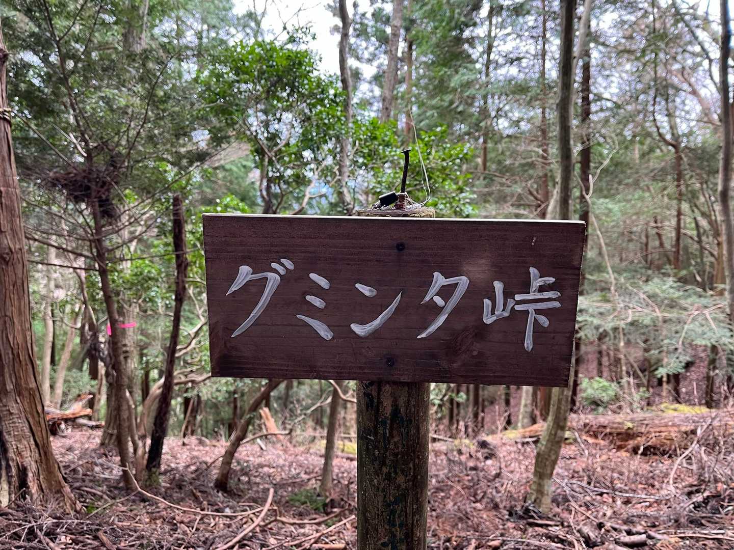 岩古谷山登山口-岩古谷山-平山明神山-大鈴山-鹿島山 周回コースの写真