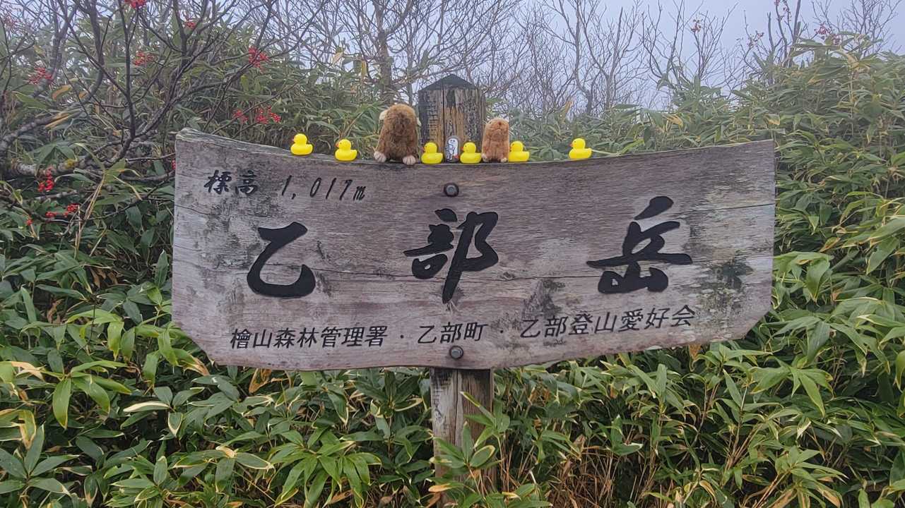 ヒヨコ　ズーシー　ナツ吉親子
