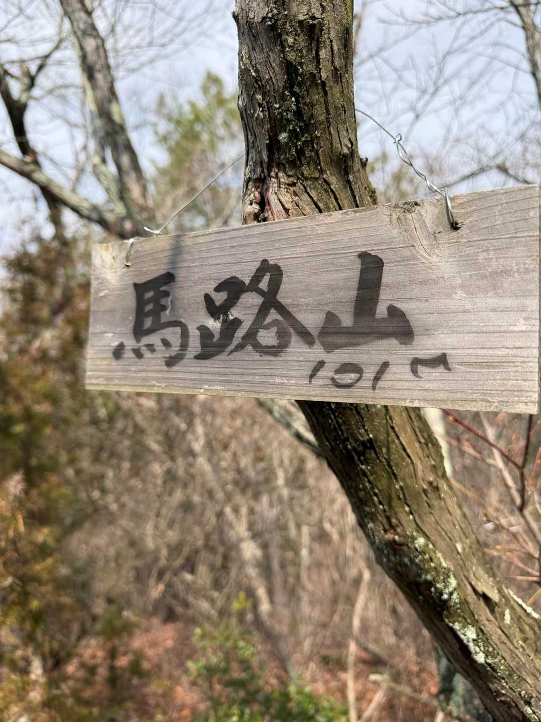 新庄山登り口-高尾山-大山-シャシャ木山登り口 周回コースの写真