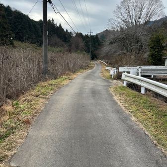 アスファルトから三登谷山に向かう