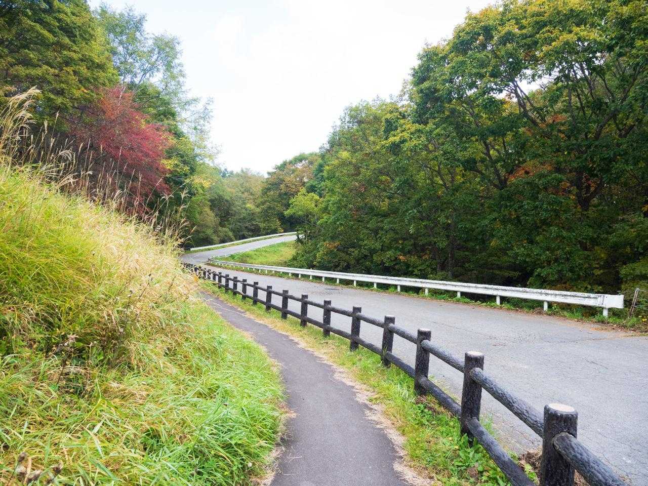 天丸山 往復コースの写真