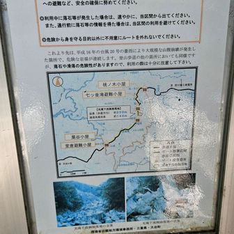 今回は