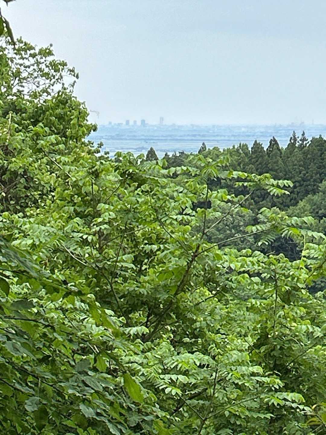 新潟市内のビル