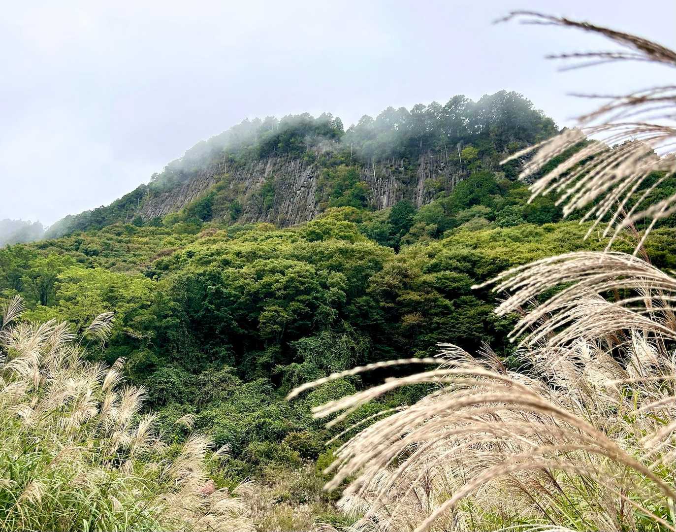 ススキ🌾と柱状節理の岩壁🧗‍♀️がバッチリ👍