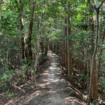 素敵な尾根道😙