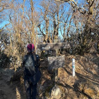 ここでお会いした
スピードハイカーさんに
撮ってもらいました

ありがとうございました😊