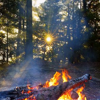 焚き火🔥とあわせて木洩れ日☀
