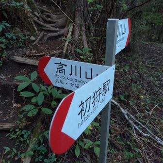 左は男坂。女坂コースから行きます。