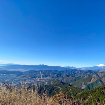 富士山、愛鷹山、箱根、相模湾！
