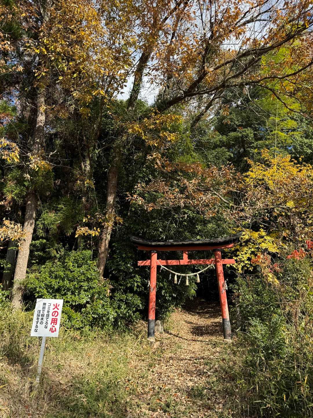 下山–🥾