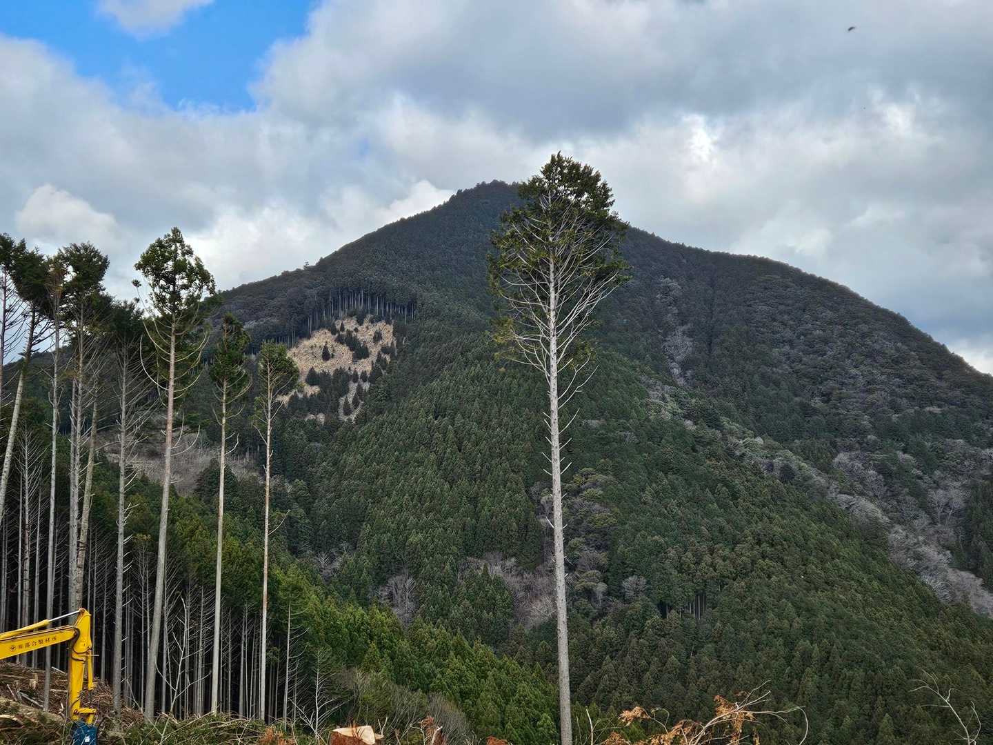 福用駅-八高山 周回コースの写真