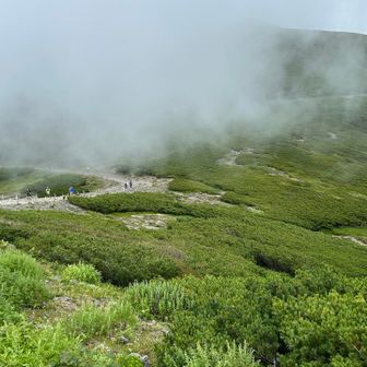 😶‍🌫️また☁️ガスってきました！
