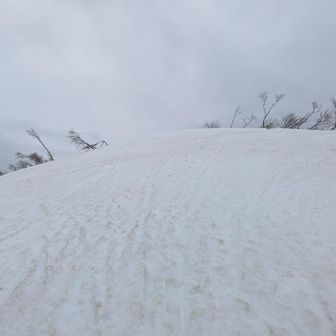 鍋倉山山頂手前。