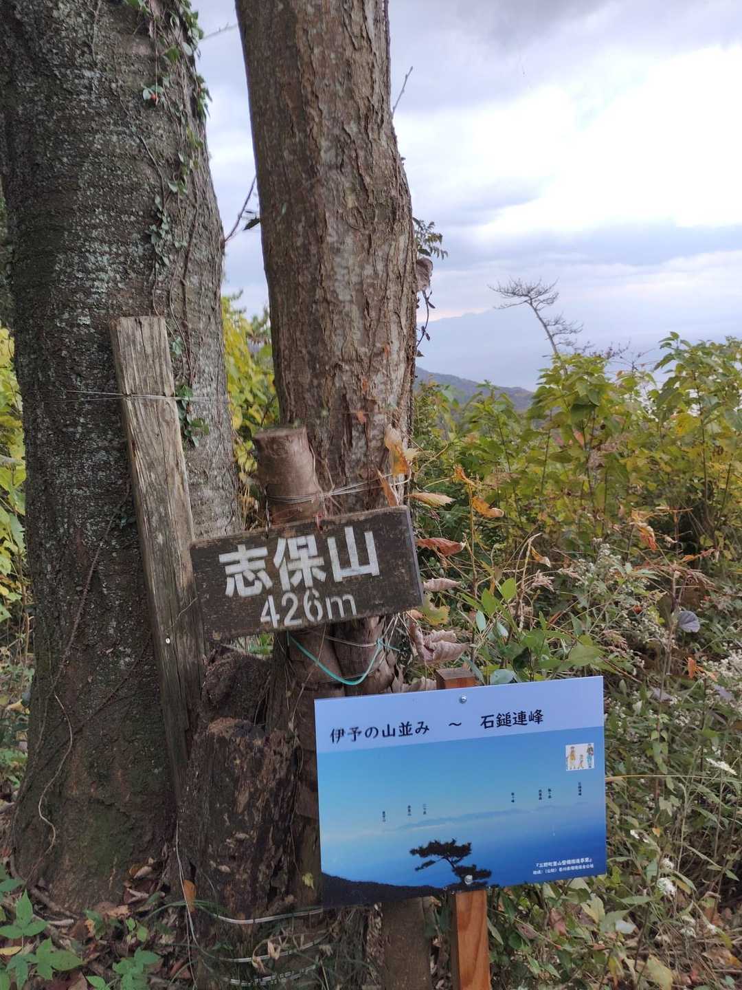 志保山の山頂