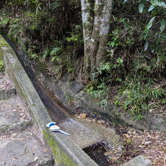 そんな感じで無事に下山
下山後、お風呂や食事を御一緒したかったけど本日は地元の祭りのためにいけませんでした　Watapさん☕今日はありがとうございました(,,ᴗ  ̫ᴗ,,)ꕤ*.ﾟ