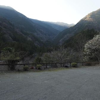 降りてきました。