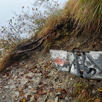 命の水は登山道から2分程度下りたところ
期待するなと言われていたけど、まだチョロチョロでていたみたい(行かなかった)

この辺は朝は特に強いケモノ臭がしていて、ガイドさん判断で長く留まらない方が良いと素通り。
帰りは日も上がっていたので、少し休憩。