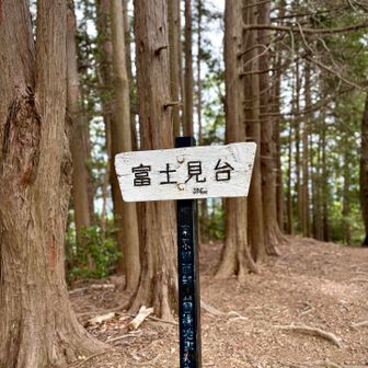 富士見台 山頂⛰️