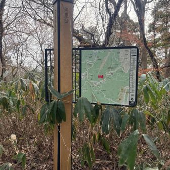 公園内なのでルートは迷うことはないですが、広い😅