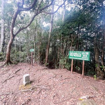 花切山山頂着。