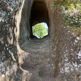 ワクワク登山道
