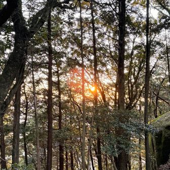 いつの間にか日の出💦見損なった☀️