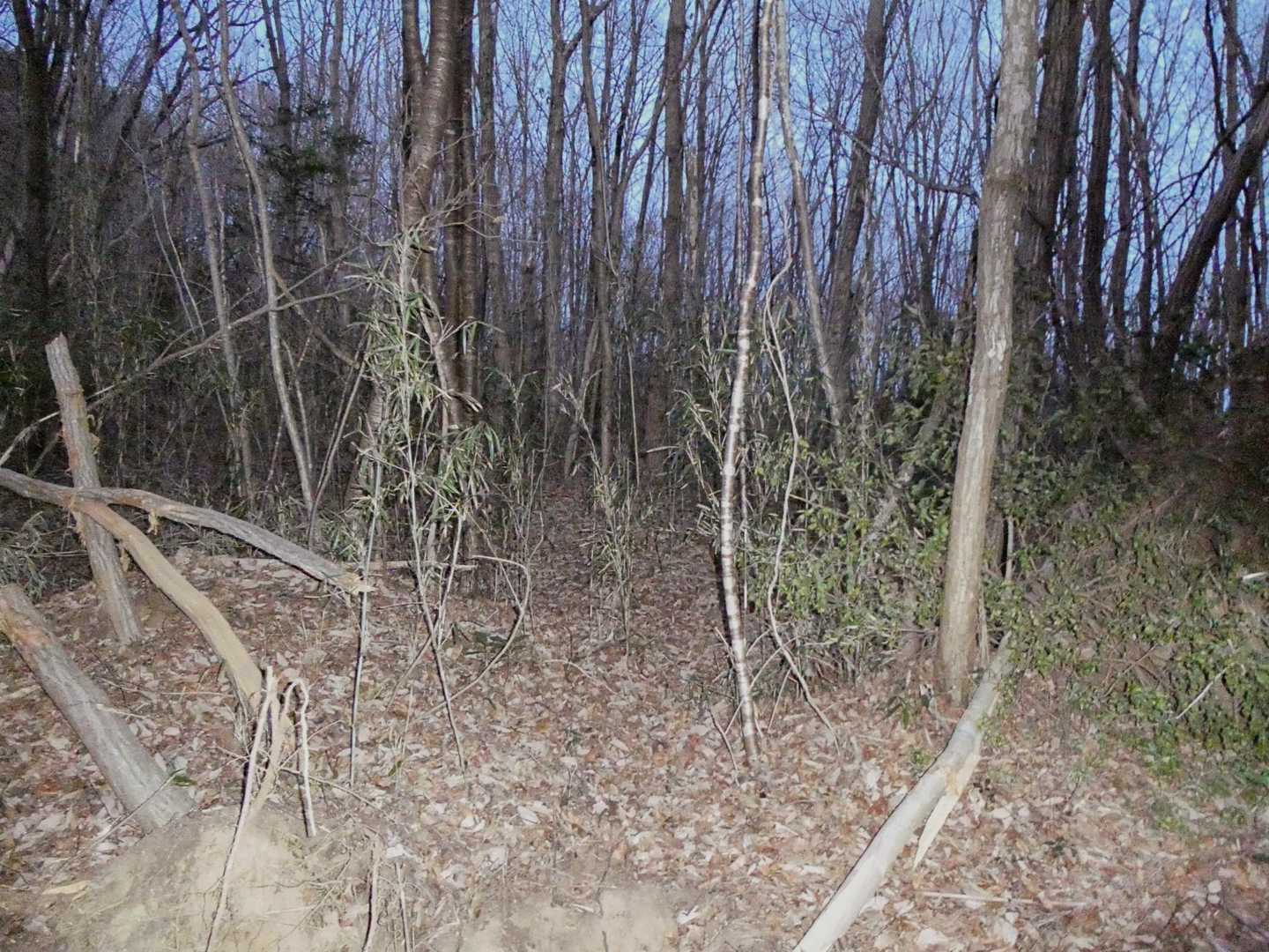 ここを入って行きます⁉️
ここから藪っぽくて不明瞭な登山道でした😓