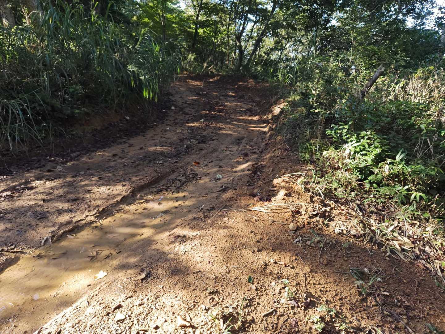ここから作業道と並走します
