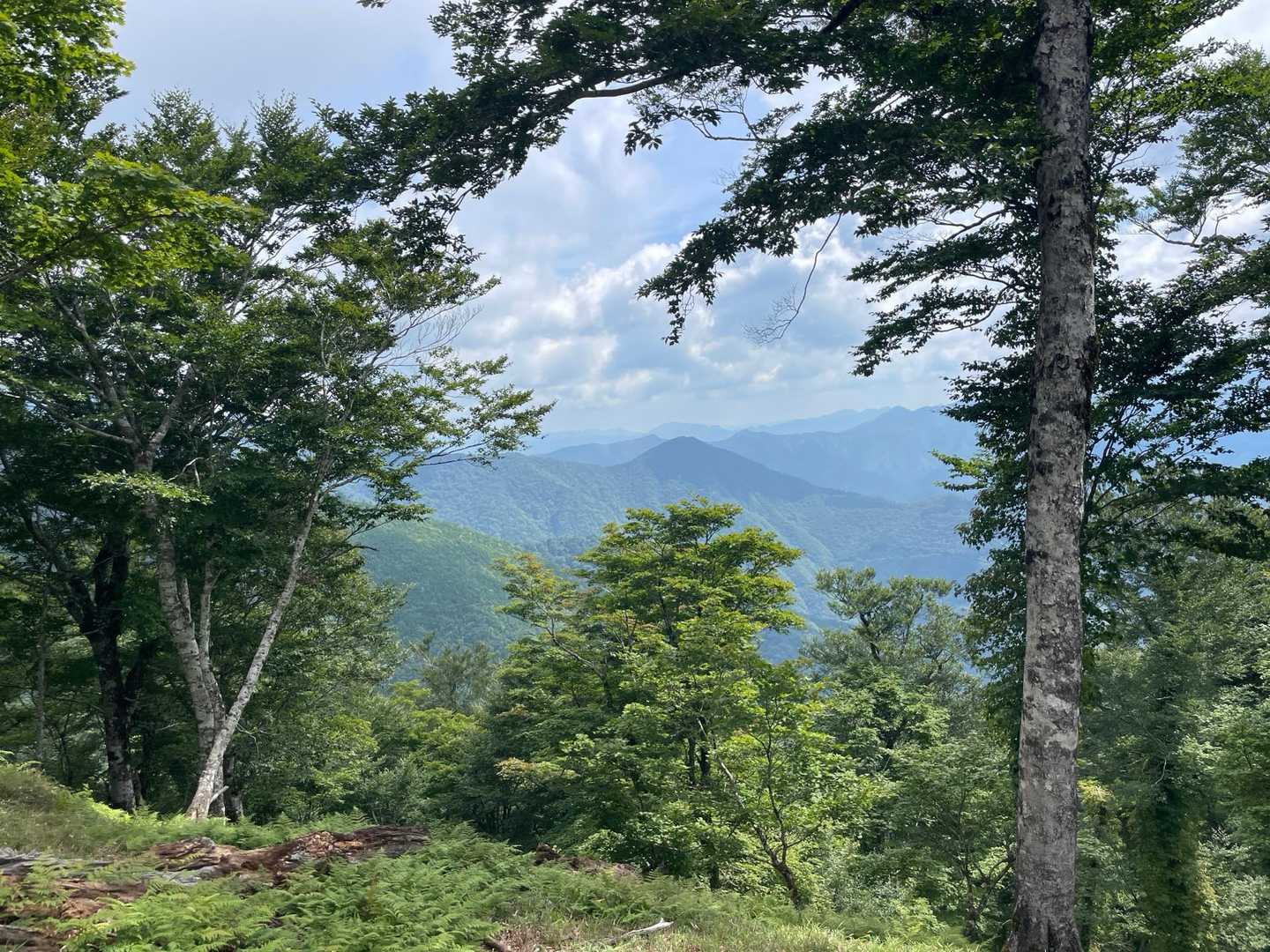 山また山の大峯奥駈道