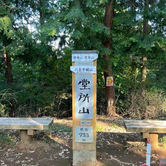 いつもまき道でパスしてしまうので、久々に堂所山へ