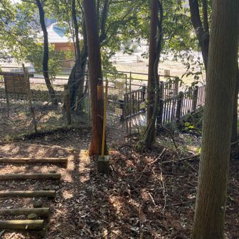 🅿️とトイレが見えてきた。
終点に到着です。