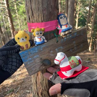 蟹沢山は猫さんの日記でも見たけど字が薄い😅