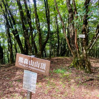 熊森山山頂は眺望がないのが残念