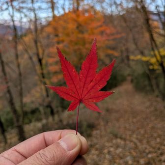 撮ってみたかったシリーズ😅