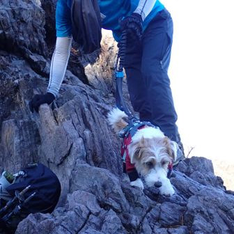 降りるときはへっぴり腰😅
