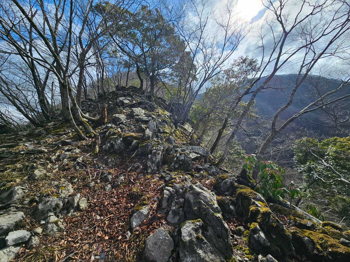 稜線出ました
霊仙のカルトス地形に似てます