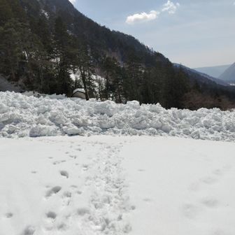 その平和は突如乱される