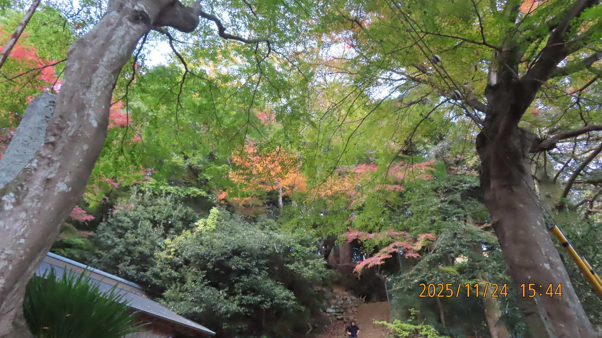いい天気。