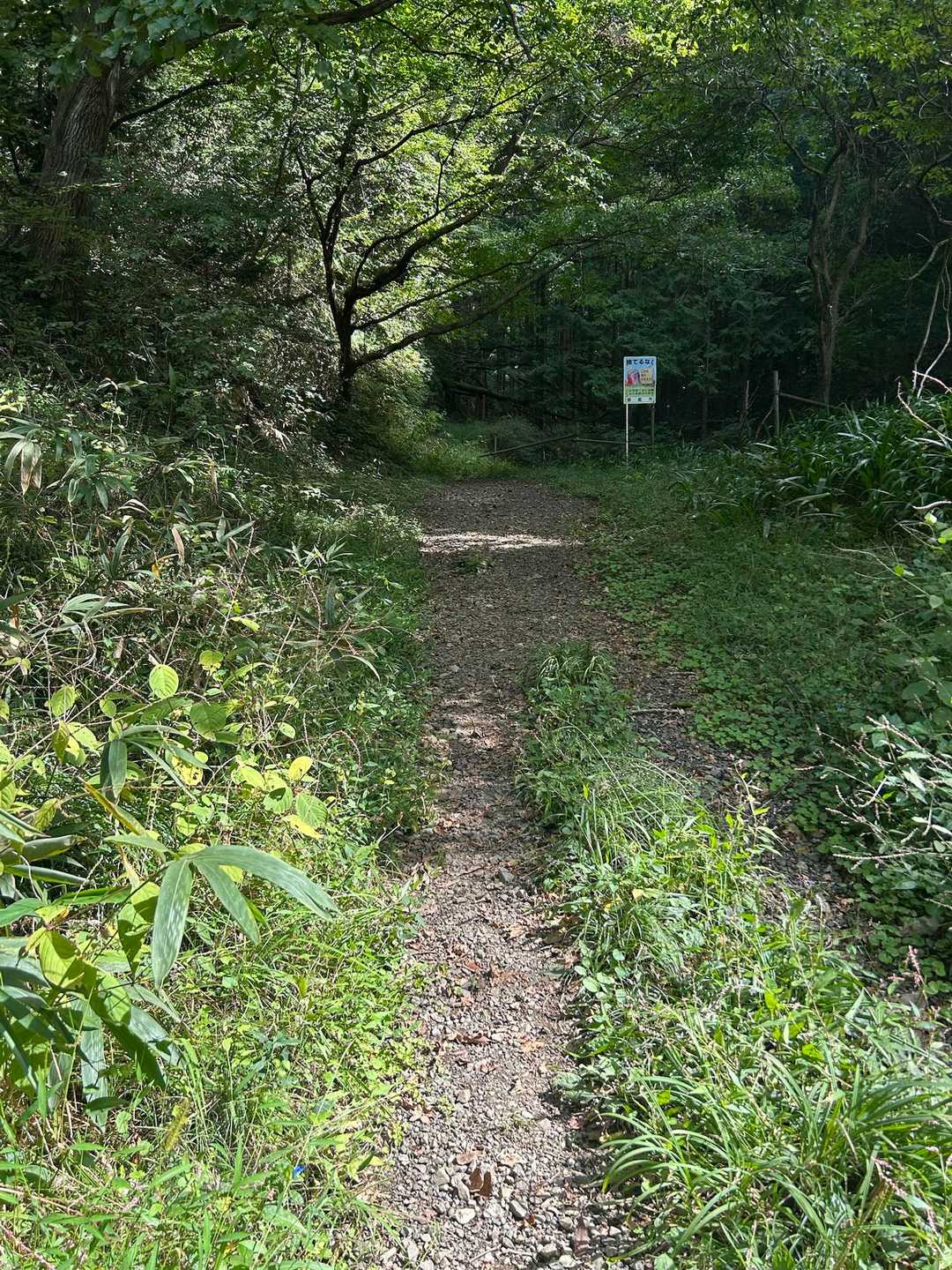 左側に見えてきたのが多峯主山登山口。
このあとお会いした方によると、ここから登る人はあまりいないそうです。　
天覧山→多峯主山の順に歩くコースのほうがメジャーなのかもしれないです。
